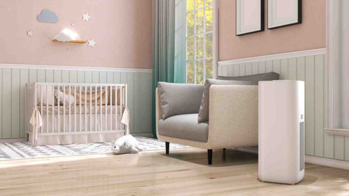 Cẩm nang phòng chống muỗi vằn an toàn cho gia đình không dùng hóa chất xịt