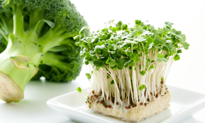 mầm súp lơ xanh
