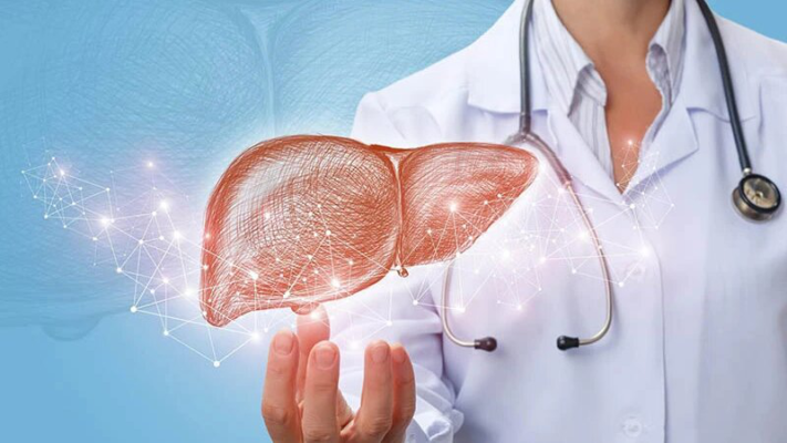 bảo vệ sức khỏe gan, tái tạo và phục hồi chức năng gan