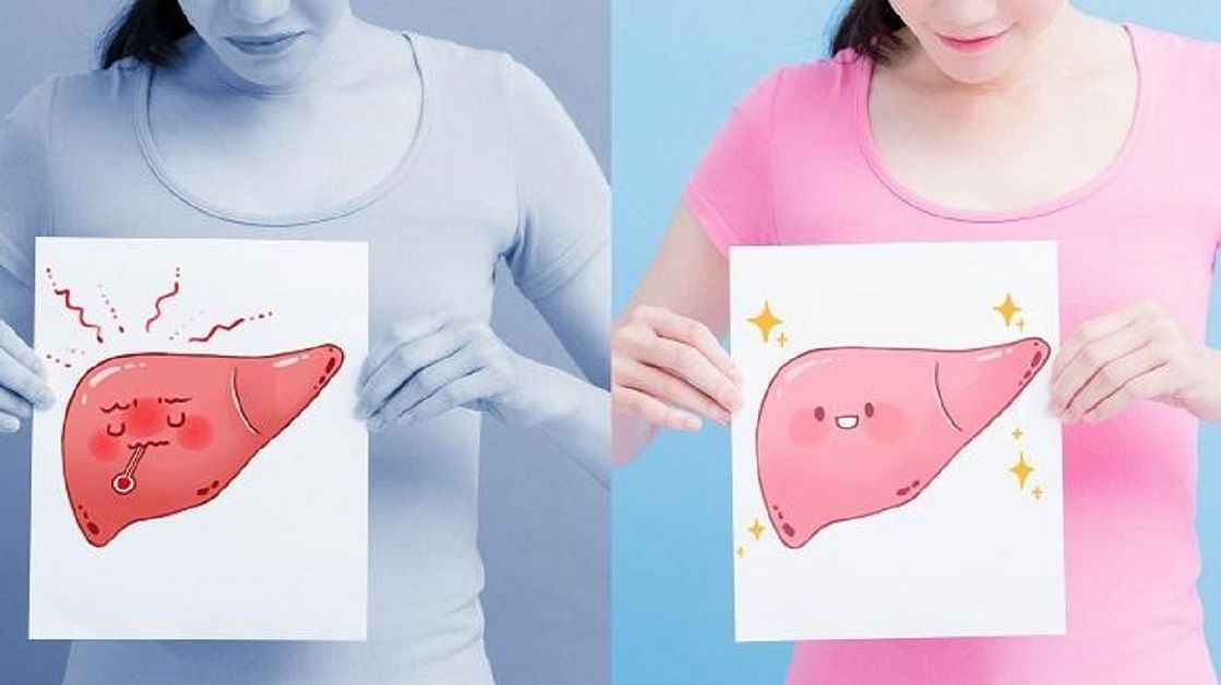 Gan có khả năng tự phục hồi khá tốt, Tác hại của đồ ngọt với gan