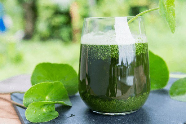 loại nước dân gian làm mát từ bên trong