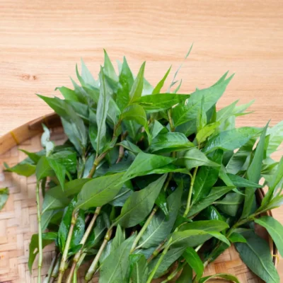hại tim mạch