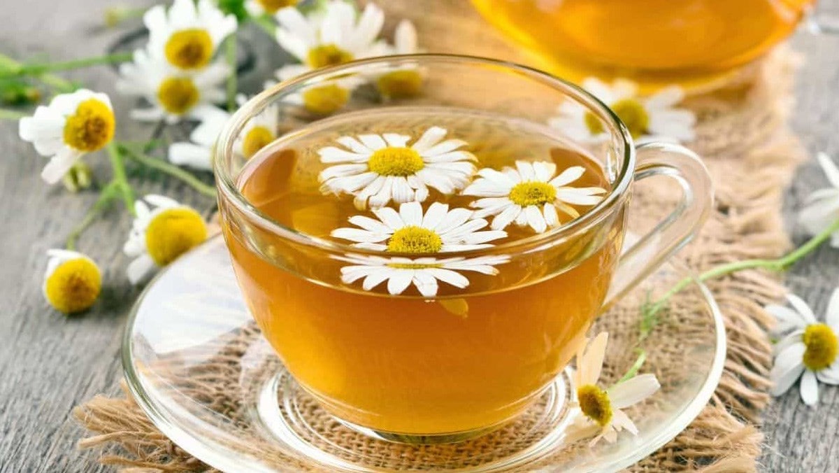 Trà thảo mộc thanh nhiệt hay nước điện giải nhân tạo: Đâu là lựa chọn tốt nhất?