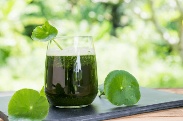 thức uống tự nhiên giúp giải nhiệt mùa hè