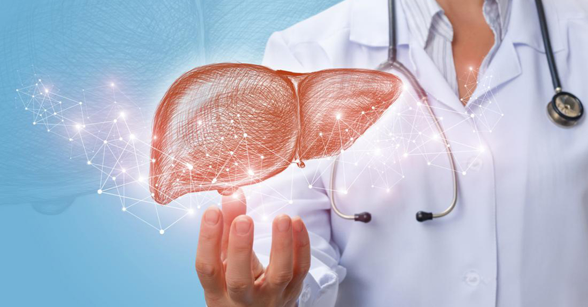 hỗ trợ gan tự phục hồi