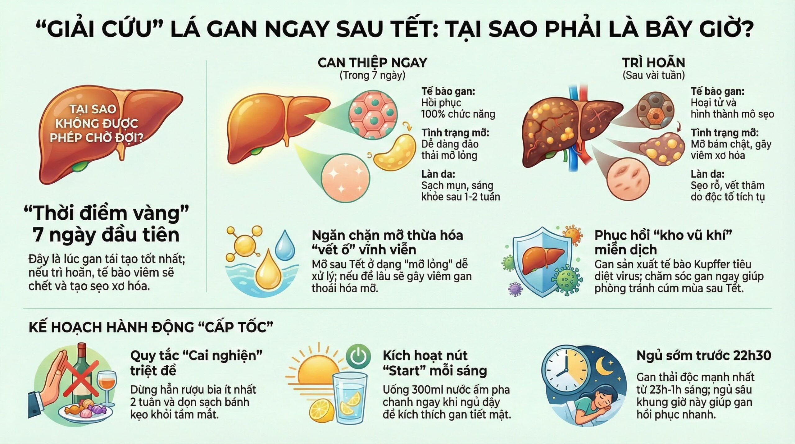 Vì sao gan cần được chăm sóc ngay sau Tết, không nên chờ đợi?