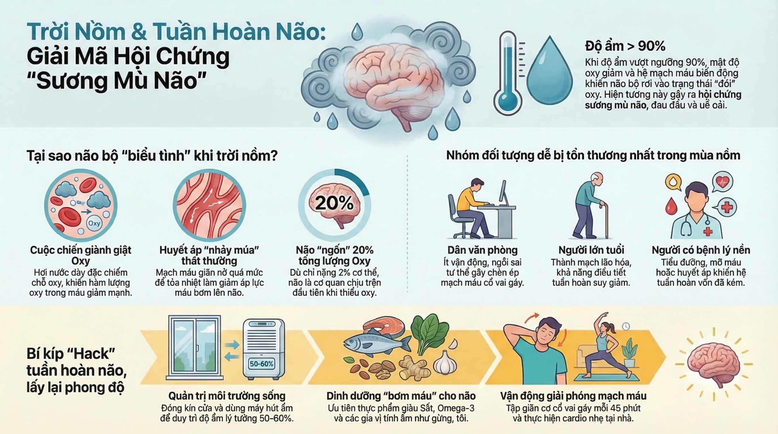 Trời nồm có ảnh hưởng đến tuần hoàn máu não không?