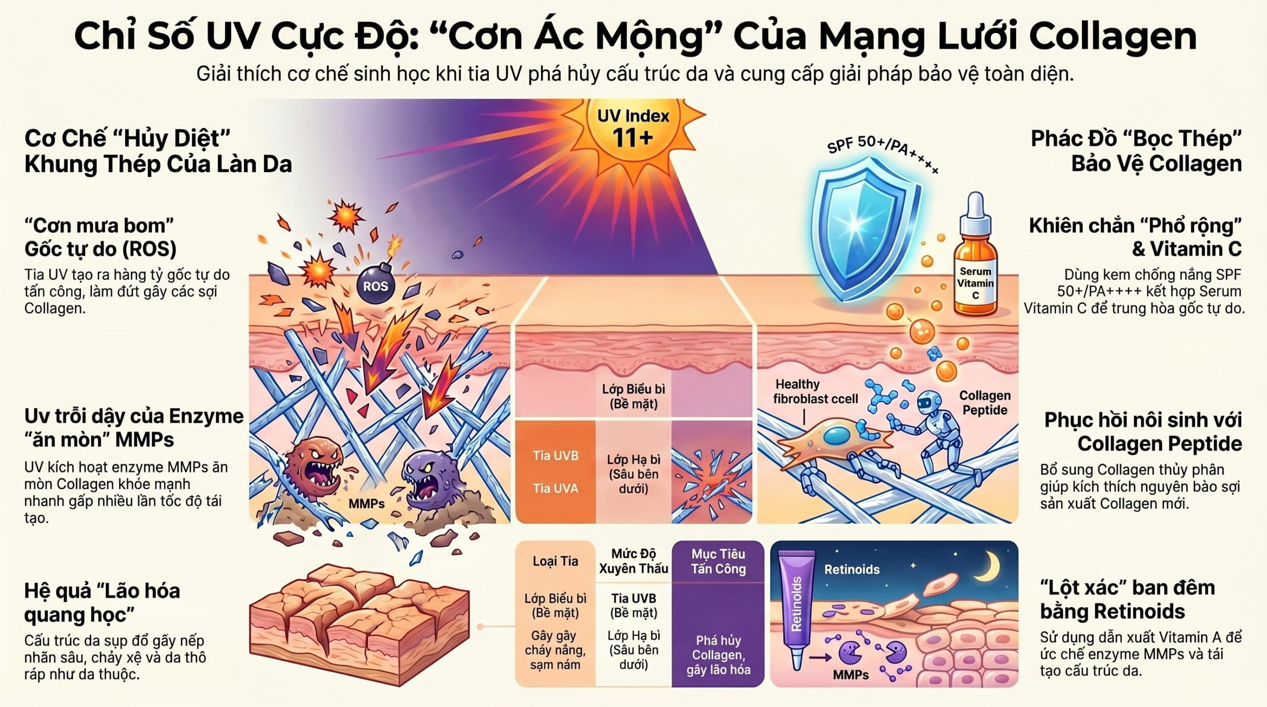 Chỉ số UV đạt mức cực độ: Chuyện gì xảy ra với mạng lưới Collagen dưới da bạn?